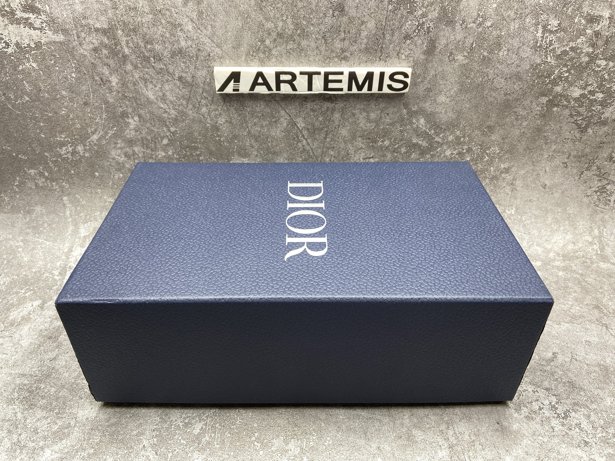 D*or b23 low top alex foxton oblique